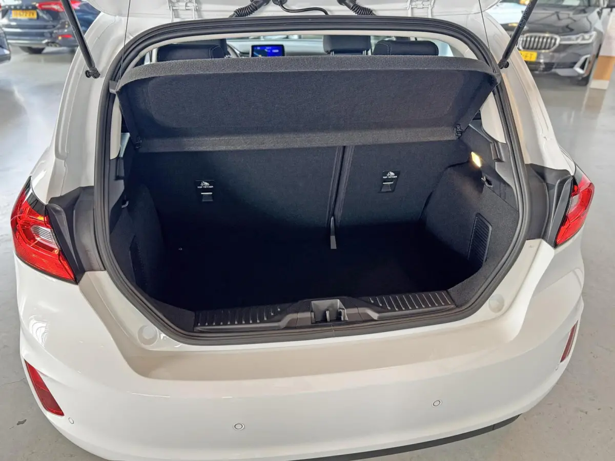 1.0 EcoBoost Titanium