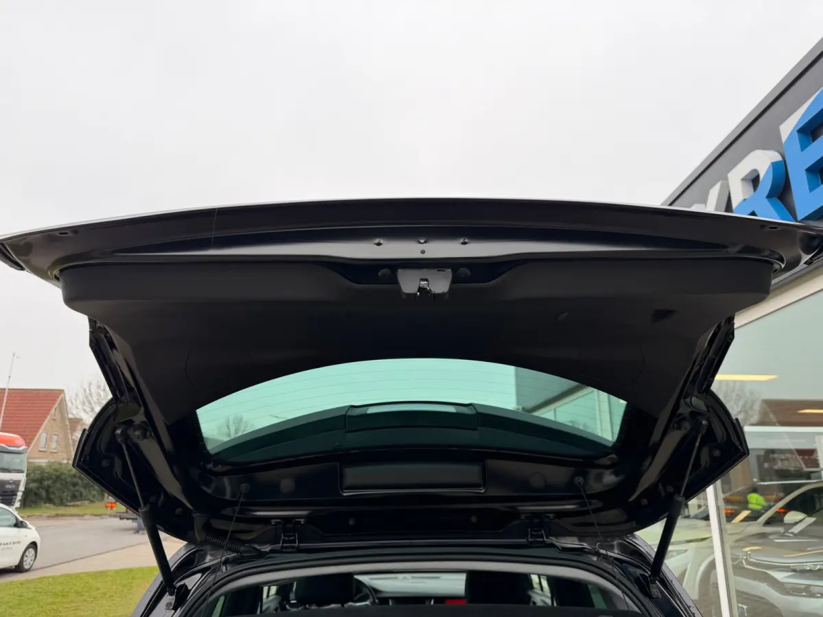 1.2 Turbo GS Line App Connect | Stuurverwarming