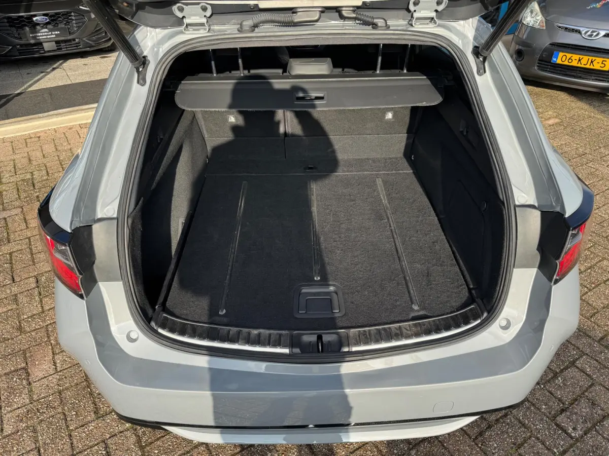 2.0 Hybrid Executive AUT NAP!