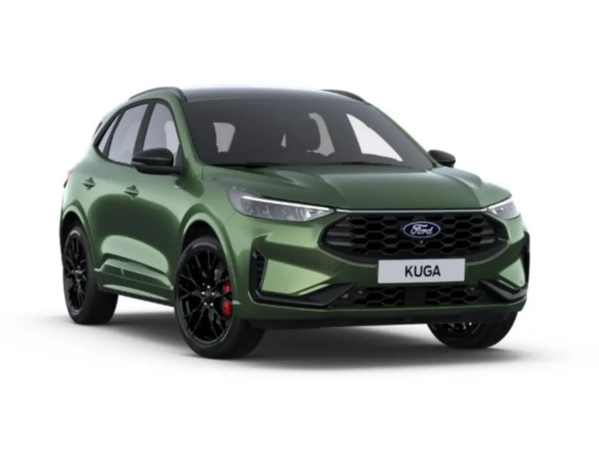 2.5 PHEV ST-Line X | Apple Carplay/Android Auto|telefoonintegratie premium | Audio installatie premium | Black Package
