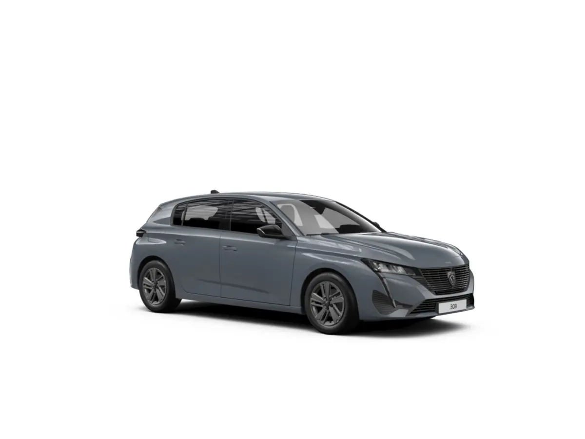 Active Pack Business PEUGEOT i-Connect Advanced Nav