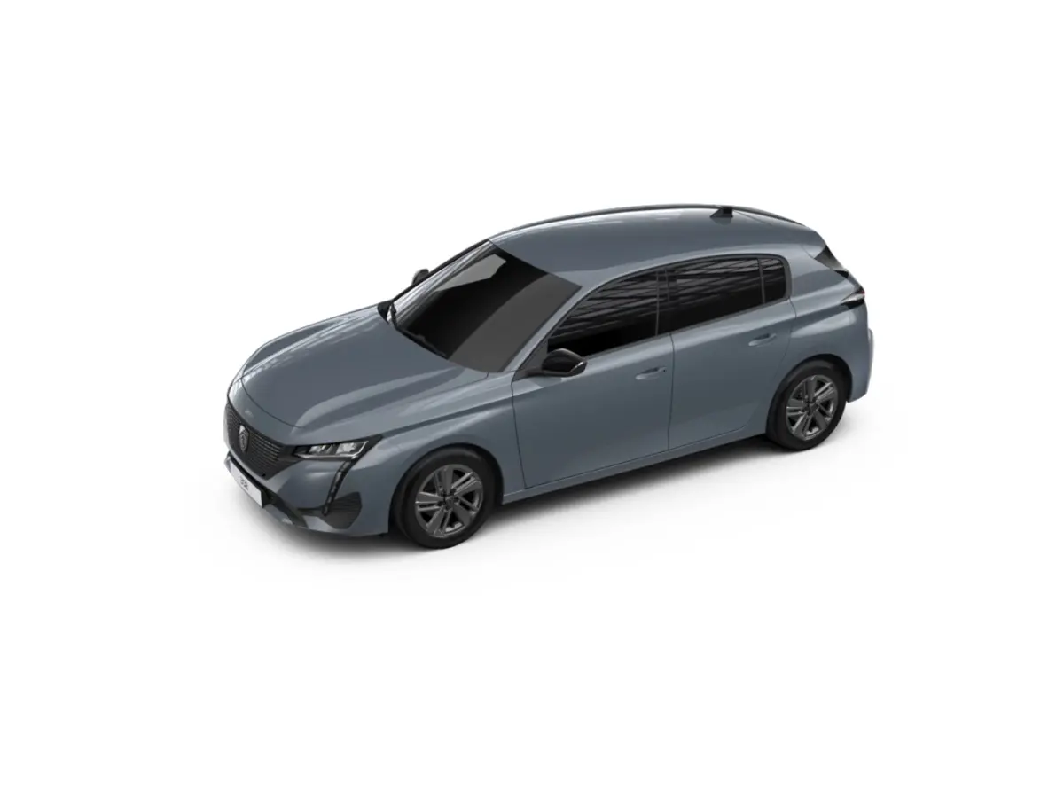 Active Pack Business PEUGEOT i-Connect Advanced Nav