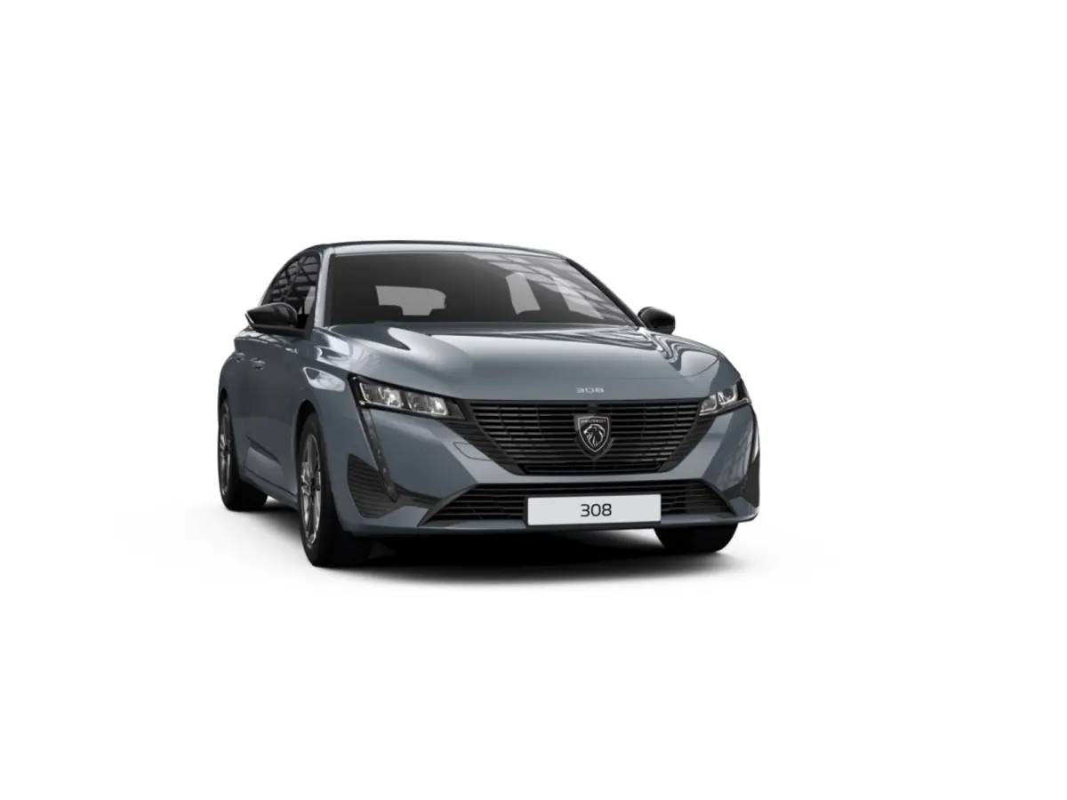Active Pack Business PEUGEOT i-Connect Advanced Nav