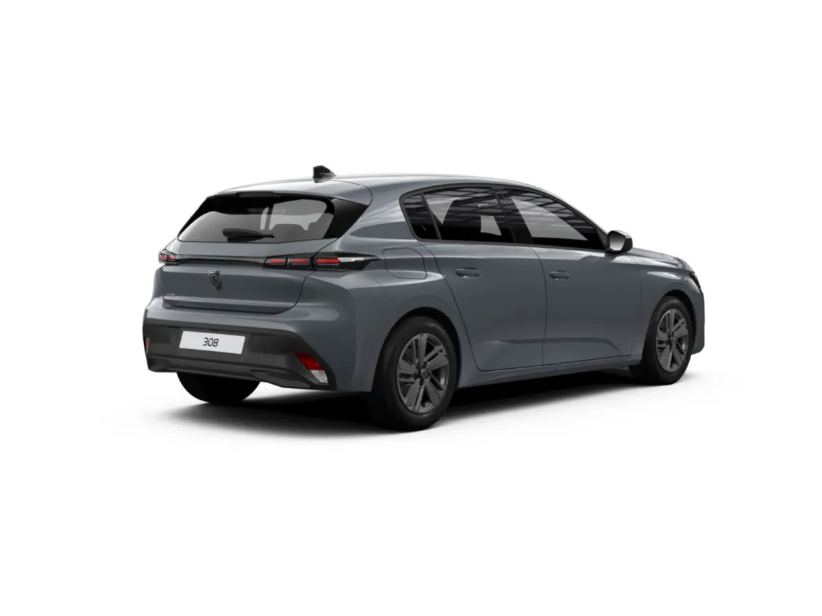 Active Pack Business PEUGEOT i-Connect Advanced Nav