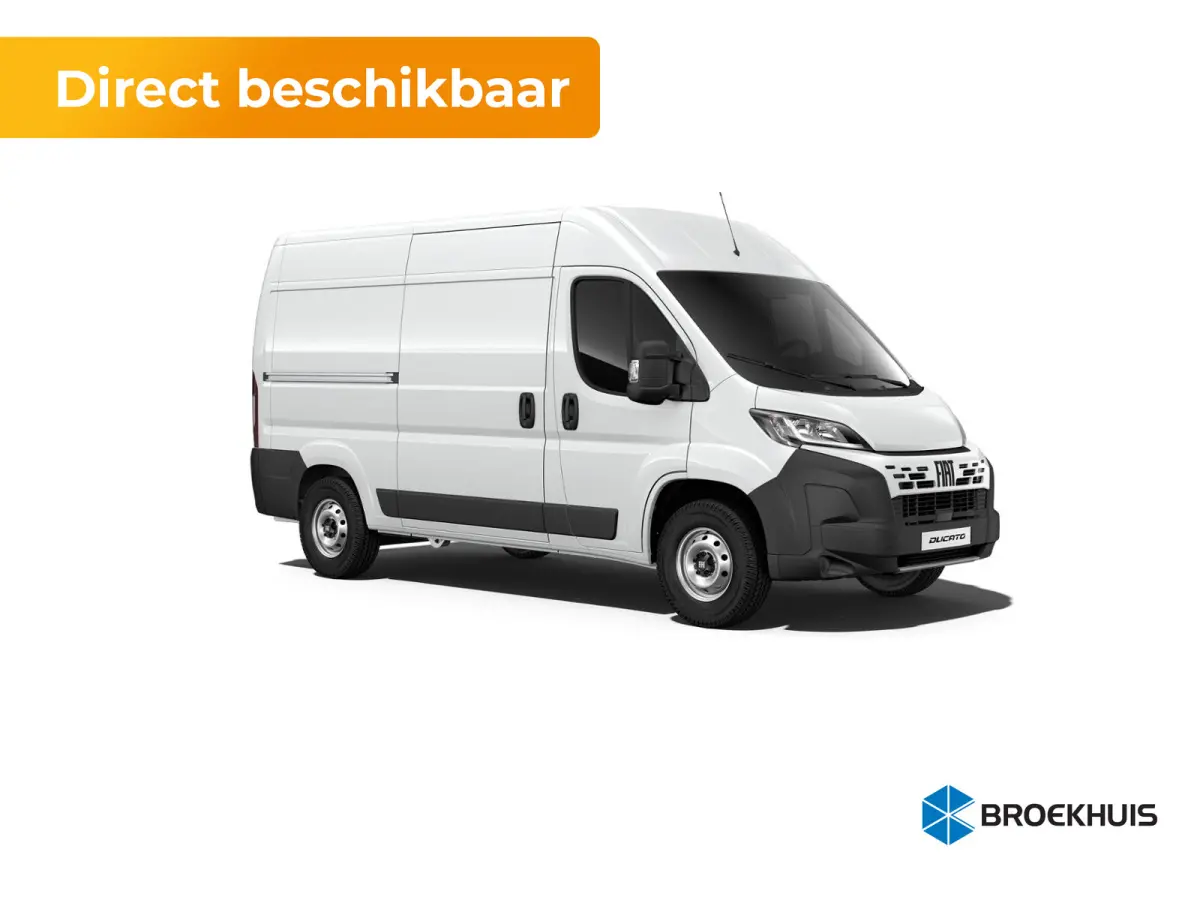 Professional Standaard | Cruise control met begrenzer