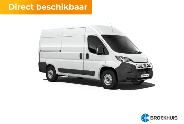 Professional Standaard | Cruise control met begrenzer
