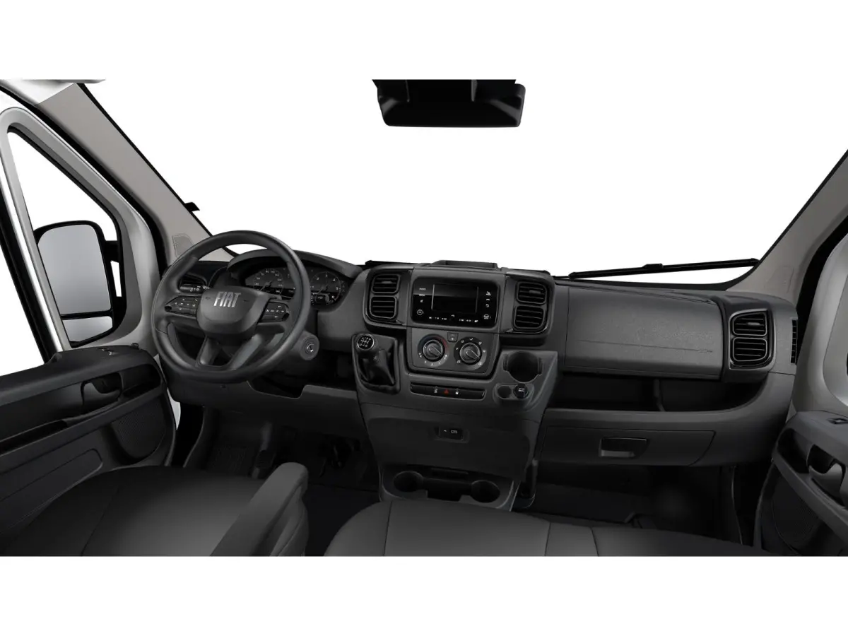 Professional Standaard | Cruise control met begrenzer