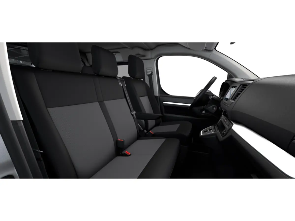 Standaard - electric Automatisch | Pack Ergonomie met passsagiersstoel