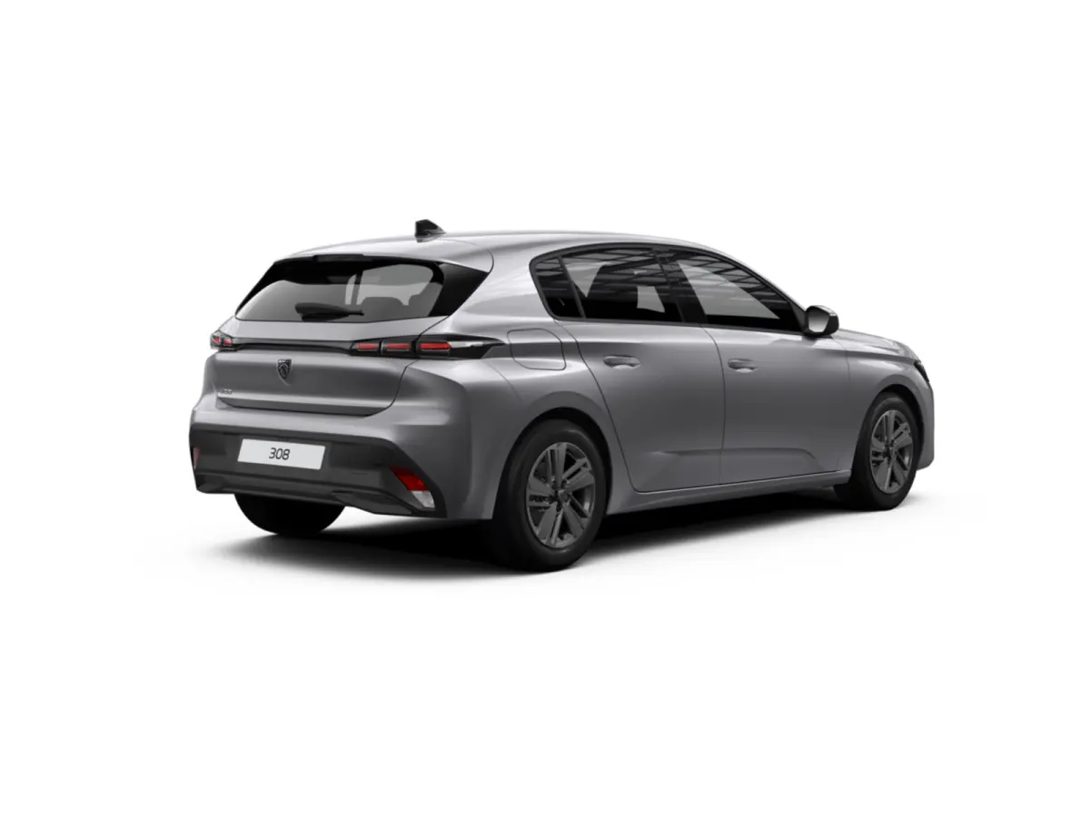 Active Pack Business PEUGEOT i-Connect Advanced Nav