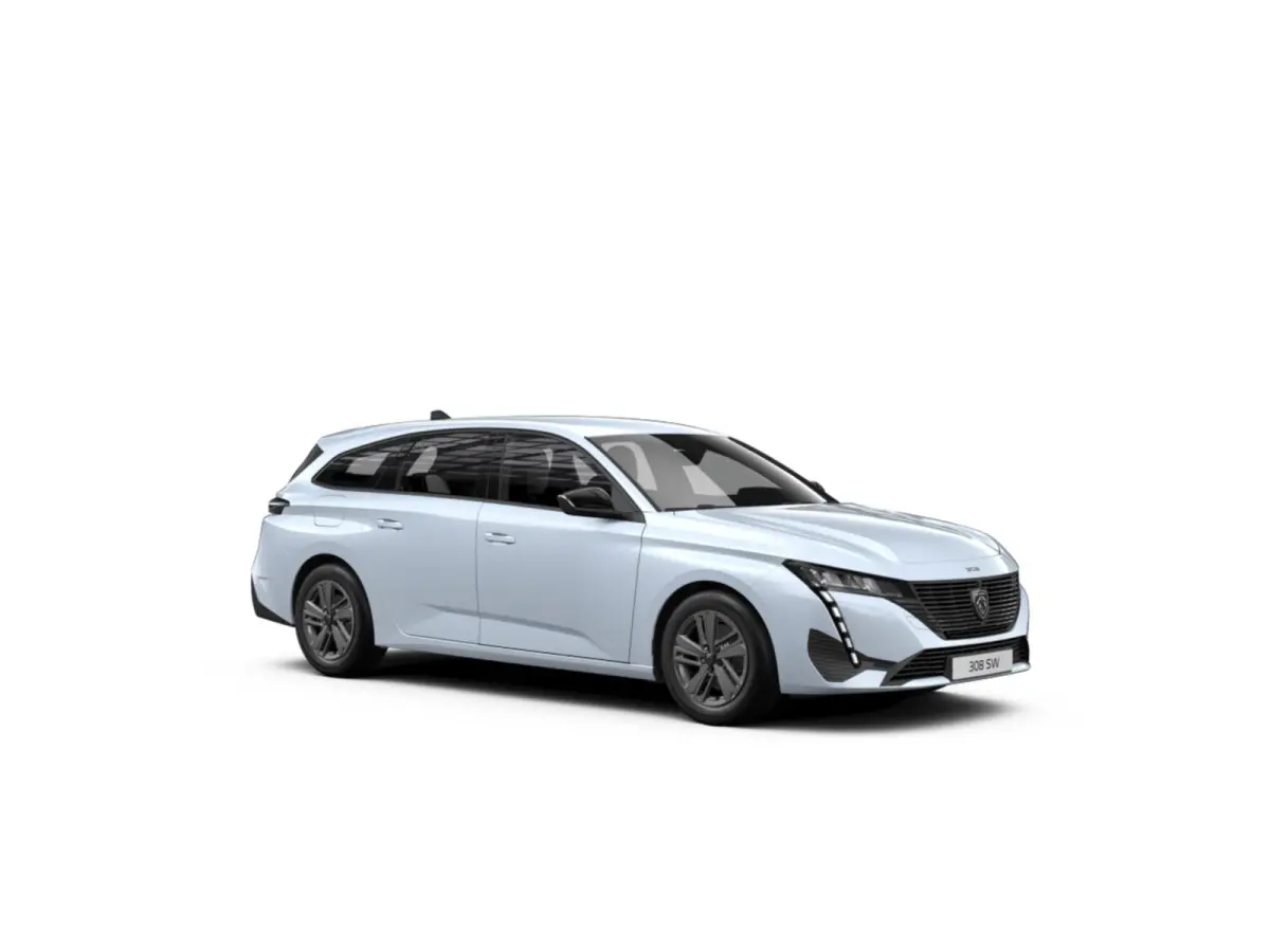 Active Pack Business PEUGEOT i-Connect Advanced Nav