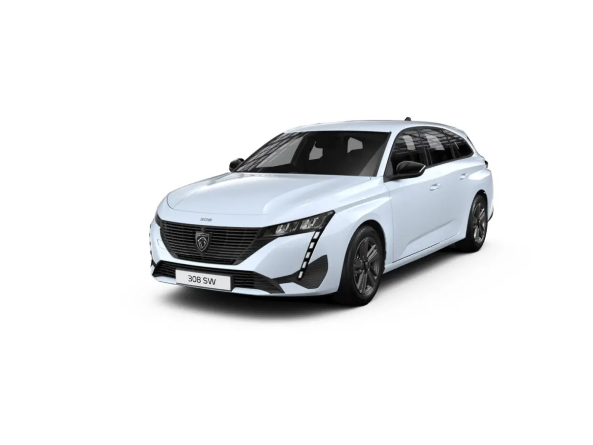 Active Pack Business PEUGEOT i-Connect Advanced Nav