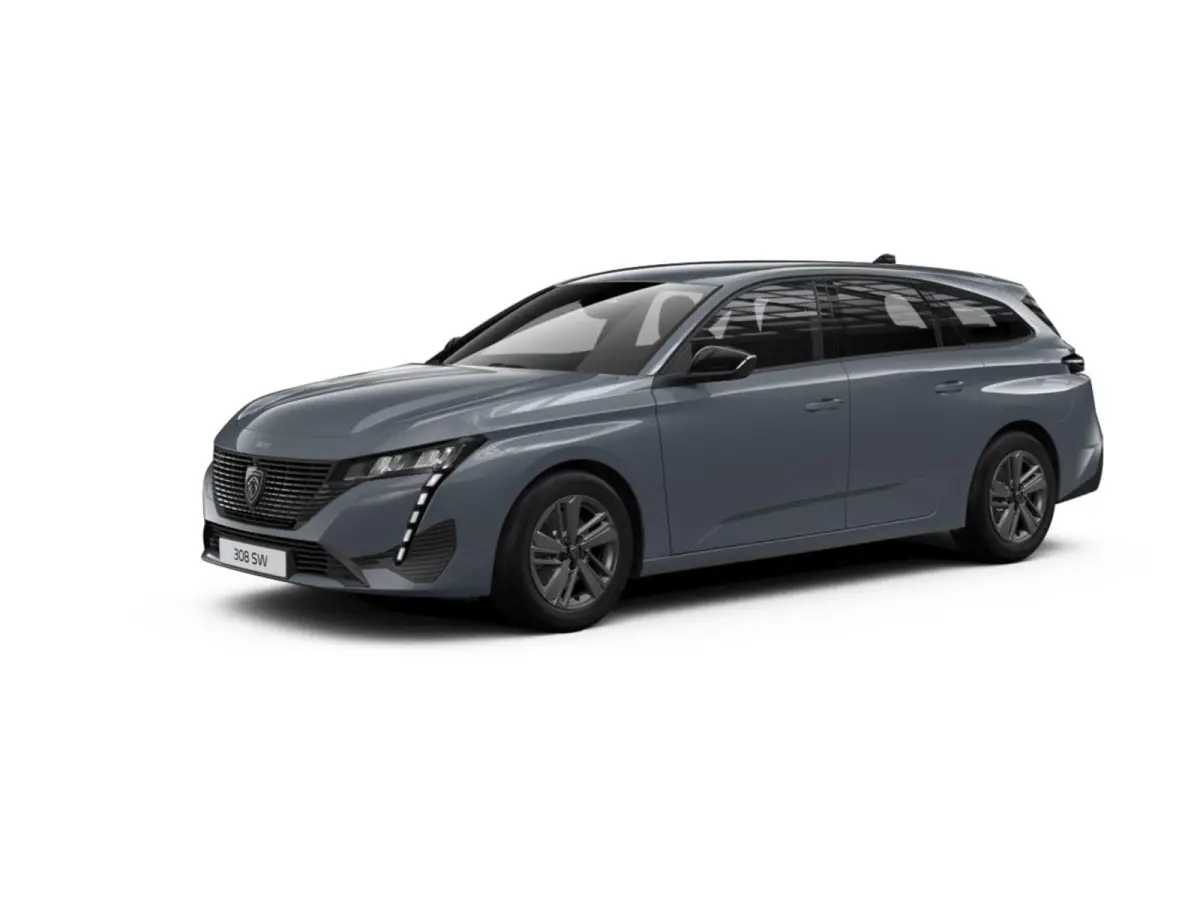 Active Pack Business PEUGEOT i-Connect Advanced Nav