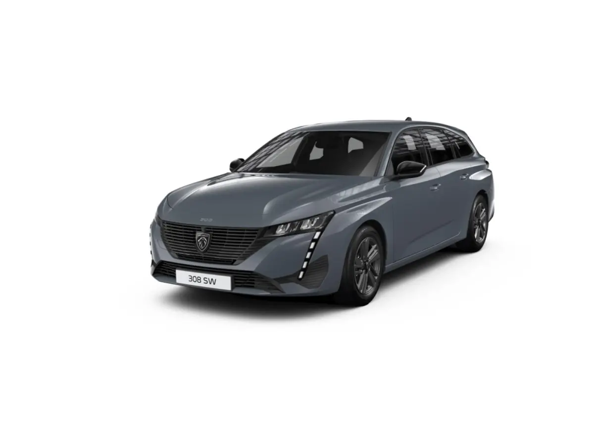 Active Pack Business PEUGEOT i-Connect Advanced Nav