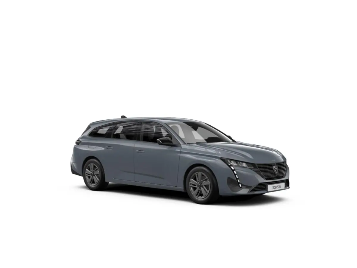 Active Pack Business PEUGEOT i-Connect Advanced Nav