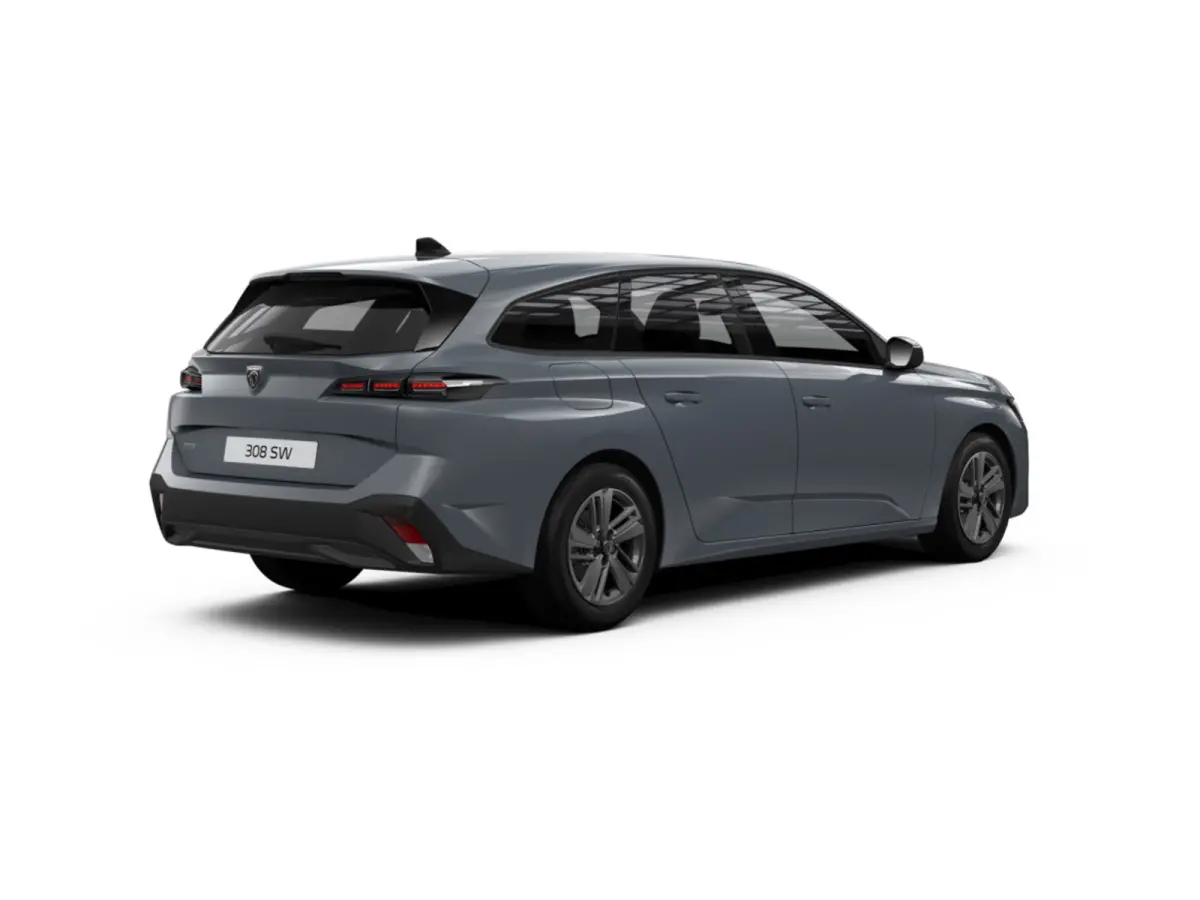 Active Pack Business PEUGEOT i-Connect Advanced Nav