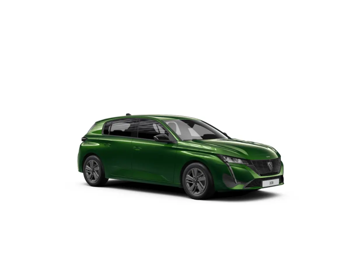 Active Pack Business PEUGEOT i-Connect Advanced Nav