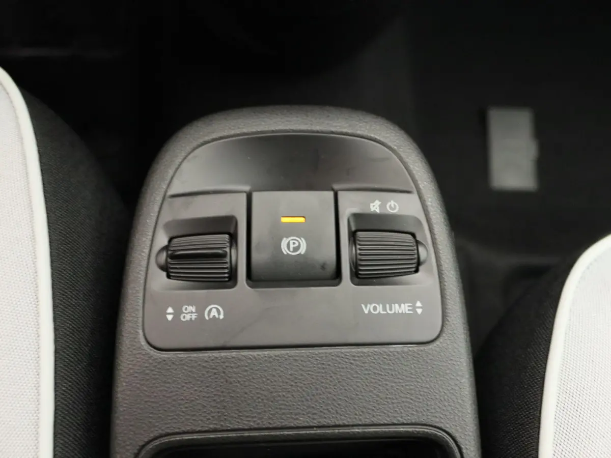 1.0 Hybrid Torino Launch Edition | Carplay | CLimate Control |  Parkeersensoren | 16" Velgen | Direct leverbaar!!
