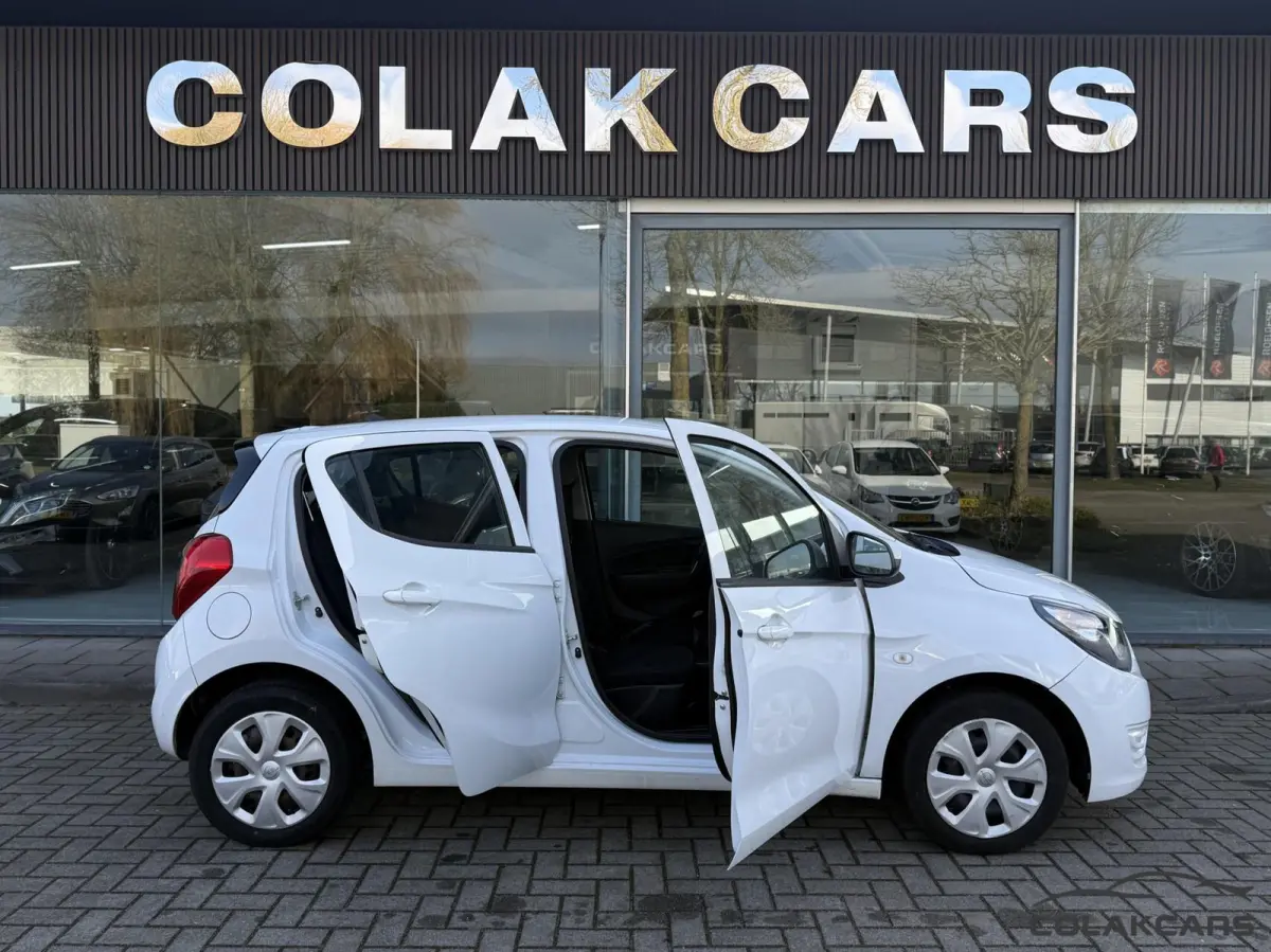 1.0 ecoFLEX 120 jaar Edition-NAP-Garantie
