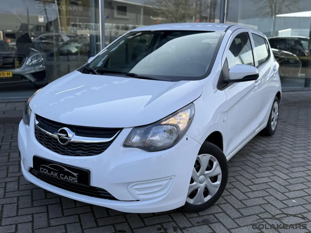 1.0 ecoFLEX 120 jaar Edition-NAP-Garantie