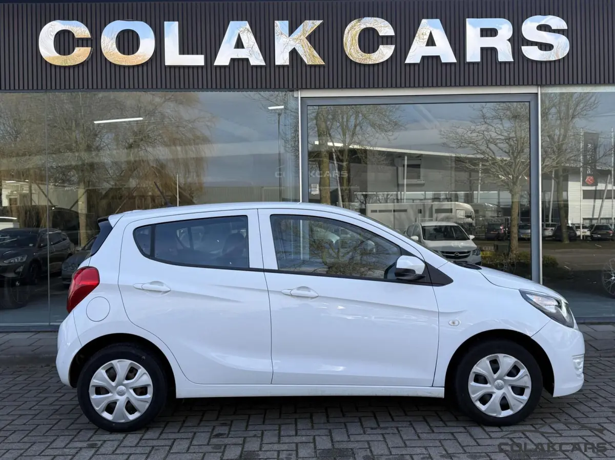 1.0 ecoFLEX 120 jaar Edition-NAP-Garantie