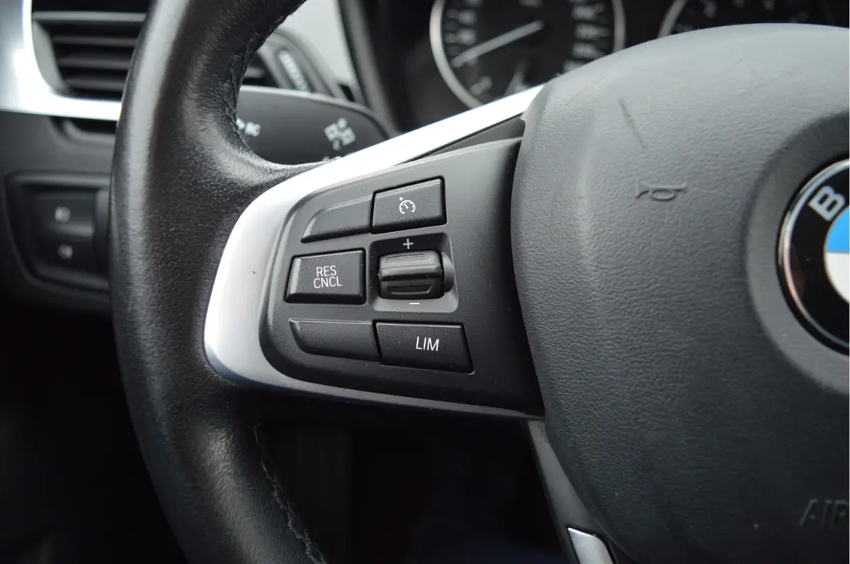 xDrive20i Centennial High Executive | PANO |