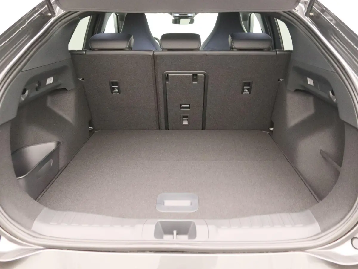 Select Extended Range RWD 77 kWh | UIT VOORRAAD LEVERBAAR | Adaptieve cruise control | Dodehoekdetectie |