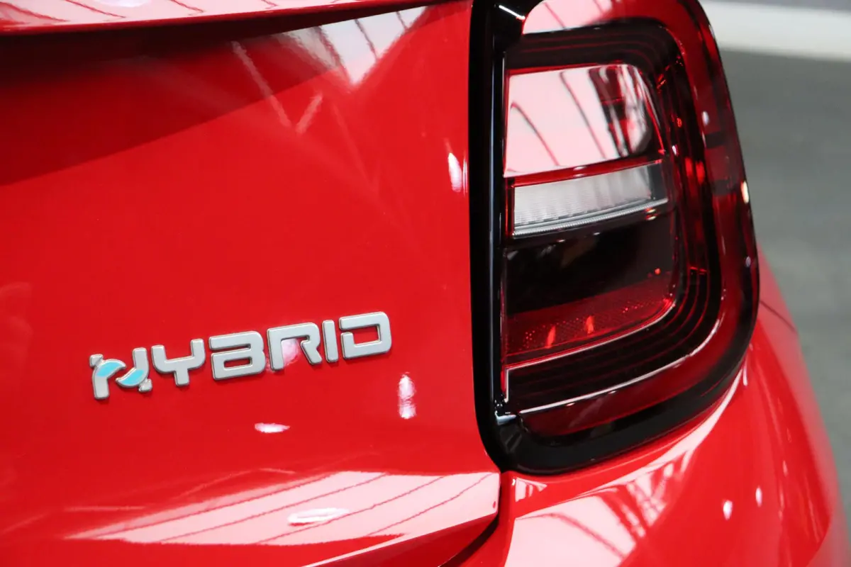 1.0 Hybrid Torino Launch Edition NIEUW MODEL / Voorraad / Snel leverbaar