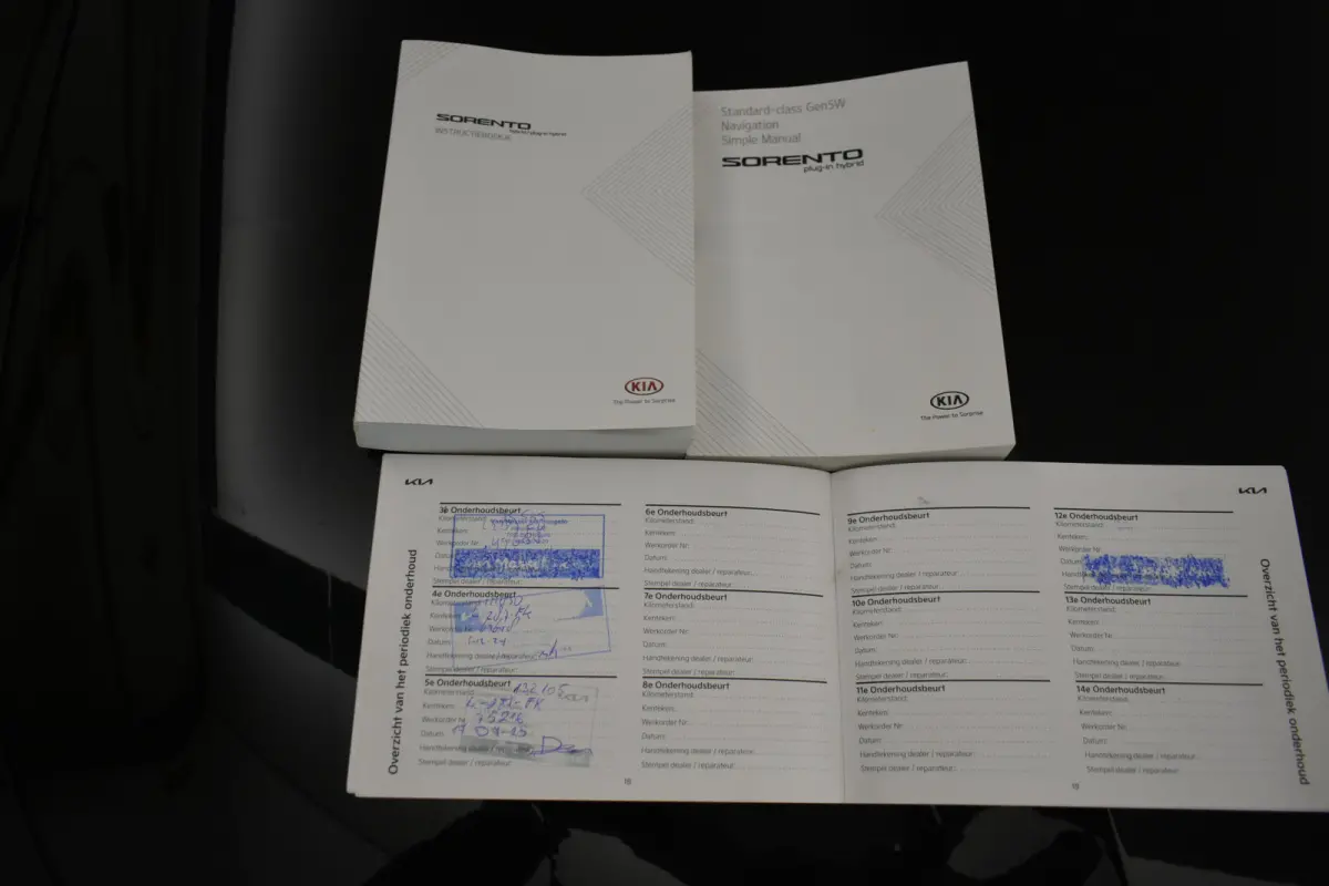 1.6 T-GDI PHEV 4WD 7 Pers Trekh Panodak Vol Leder