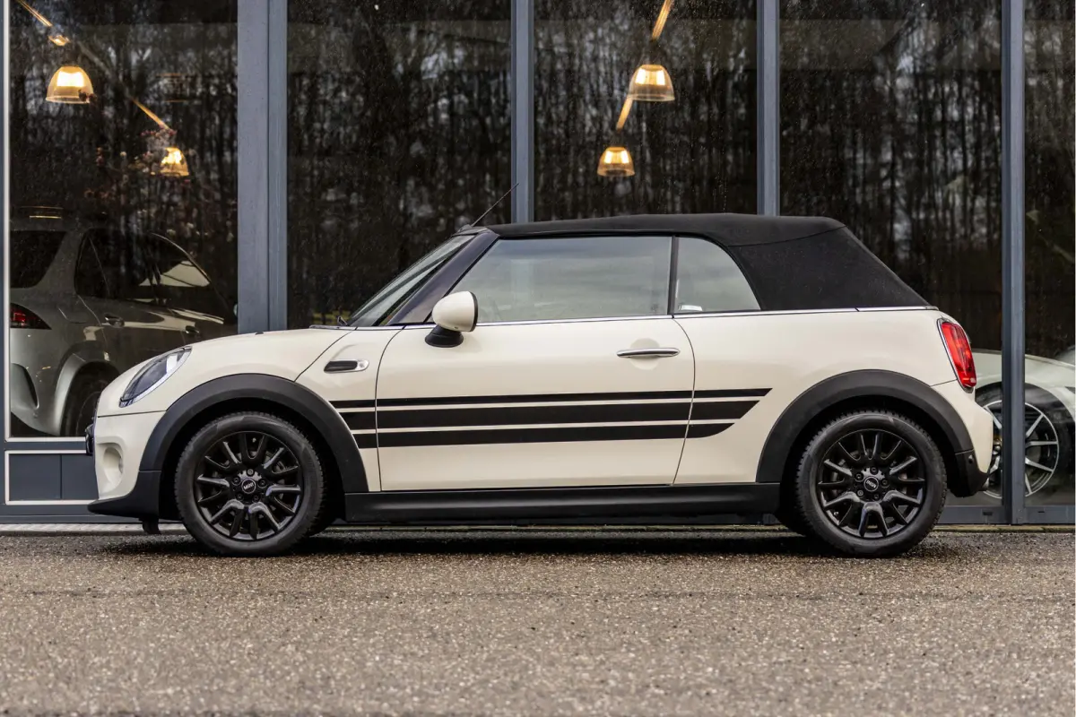 Mini 1.5 Salt