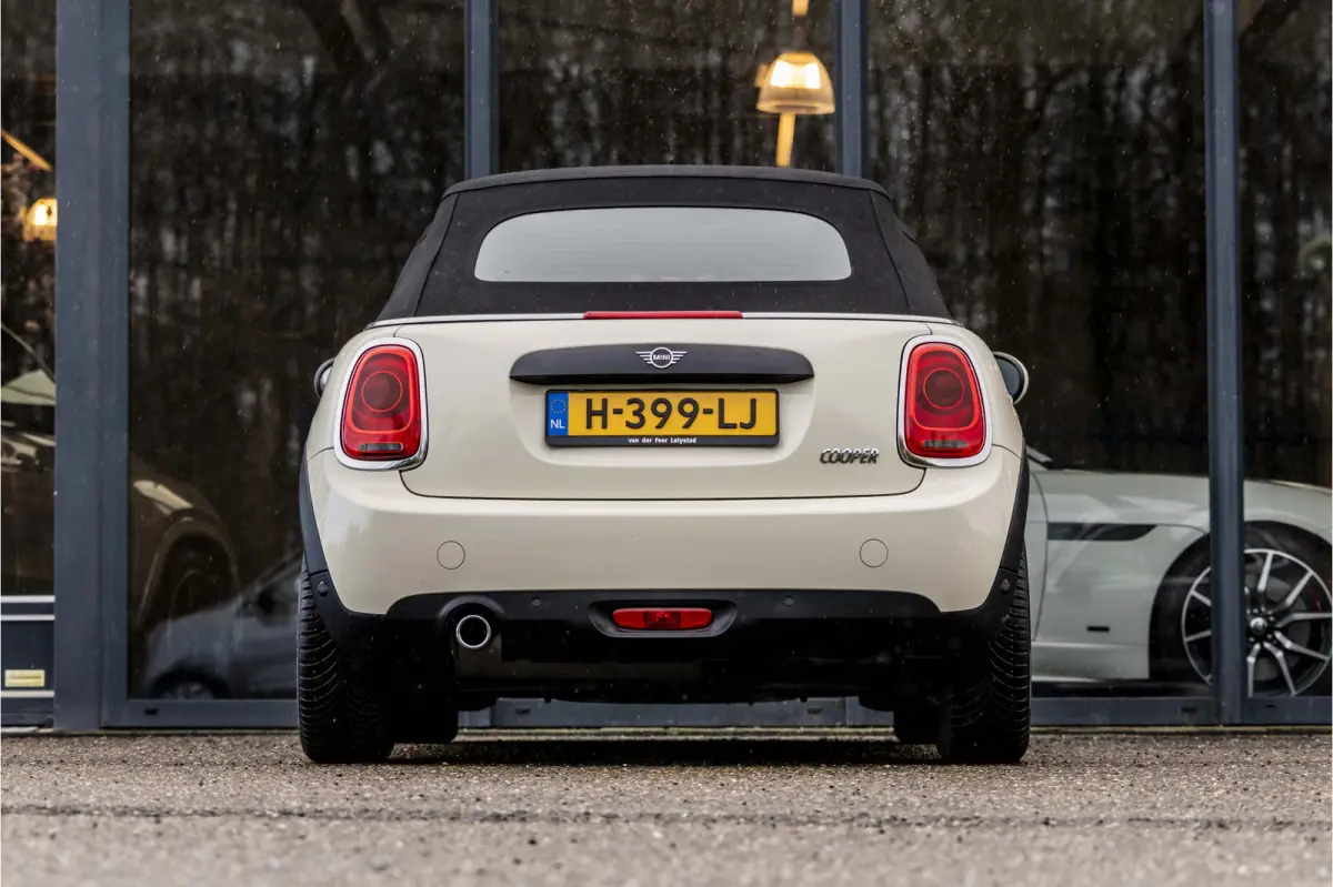 Mini 1.5 Salt
