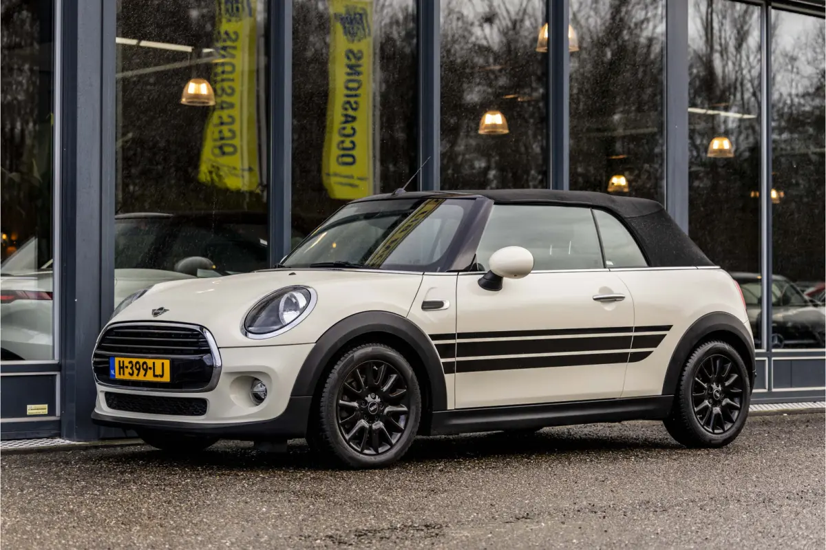 Mini 1.5 Salt