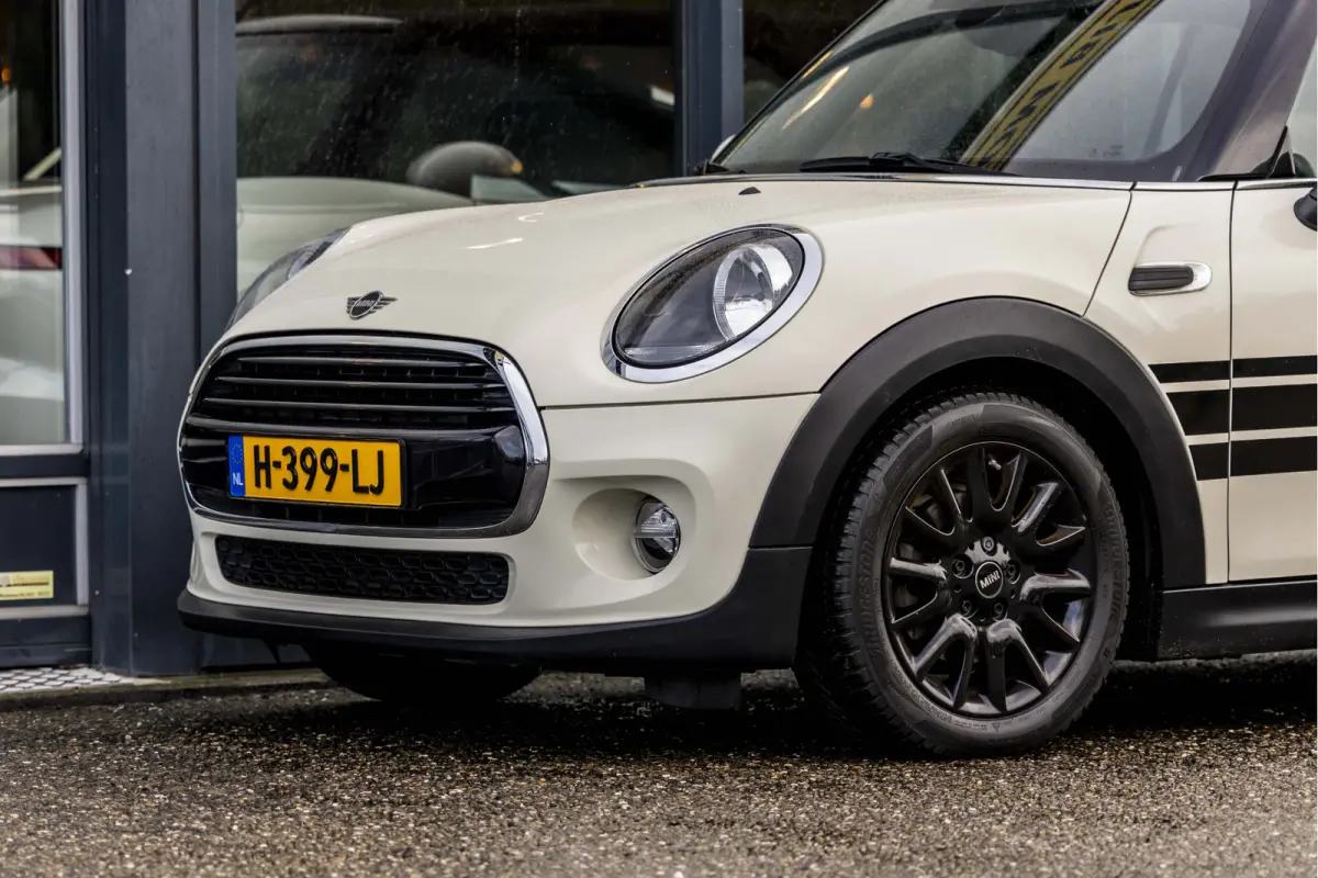Mini 1.5 Salt