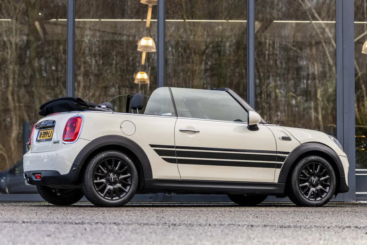 Mini 1.5 Salt
