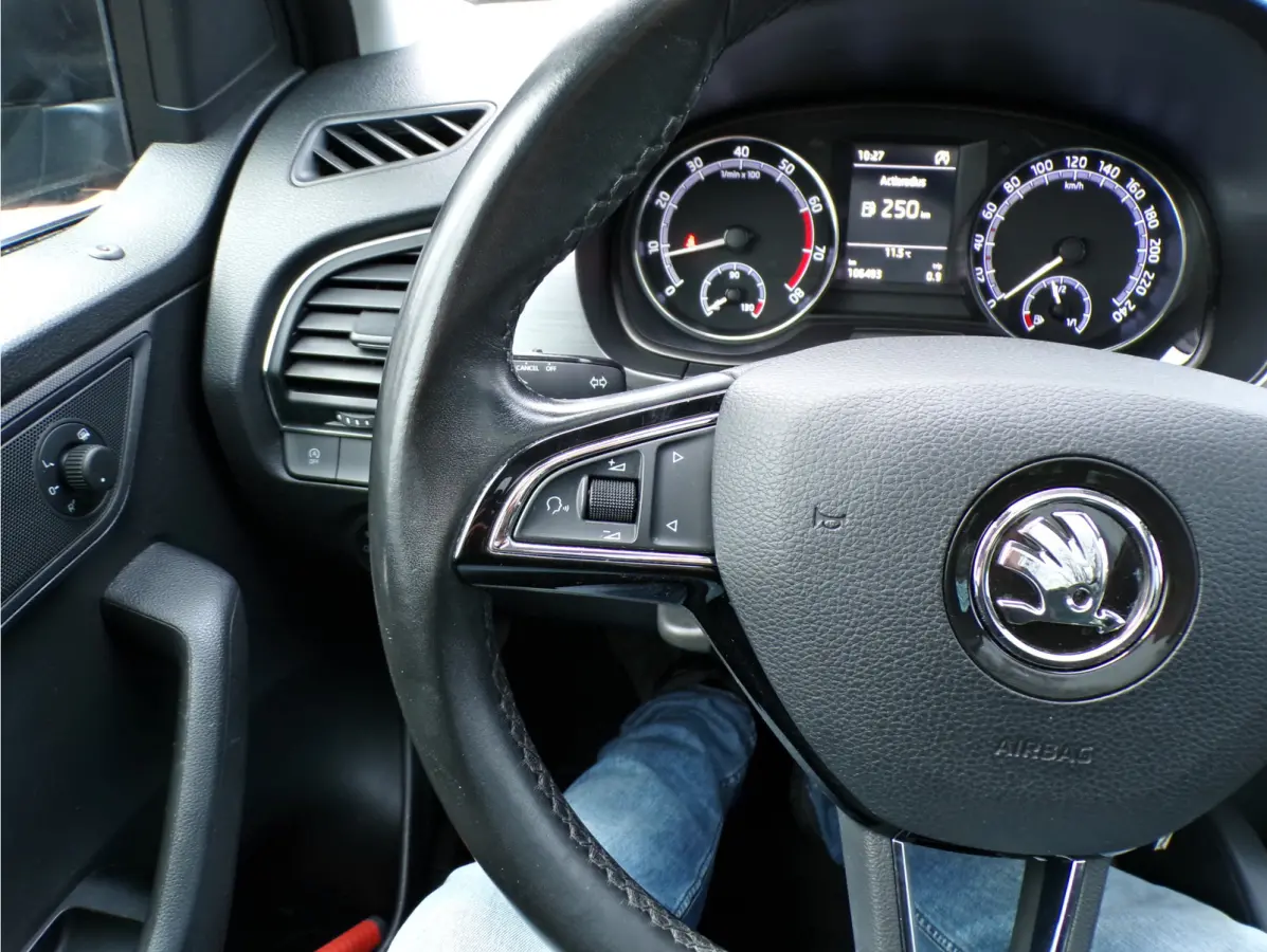 1.0 Business Edition PANORAMADAK CRUISECONT APPLE CARPLAY....