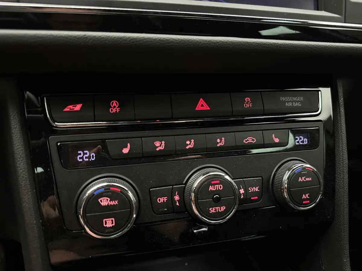 2.0 TSI CUPRA 300 BEATS COPPER PACK ALCANTARA LED