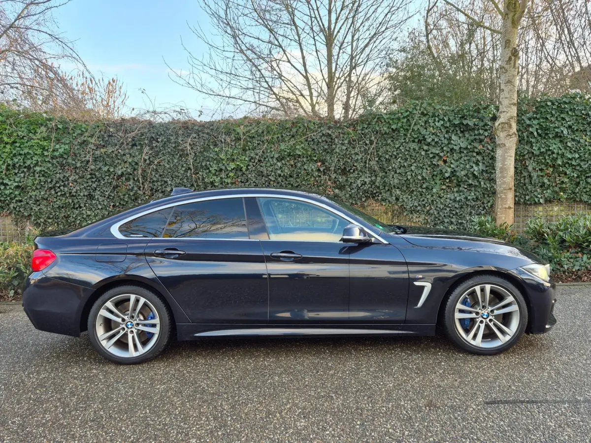 420i M Sport Nbt Evo Apple CarPlay 6WB Dig. Cluster Carbon schwarz 420i High Executive