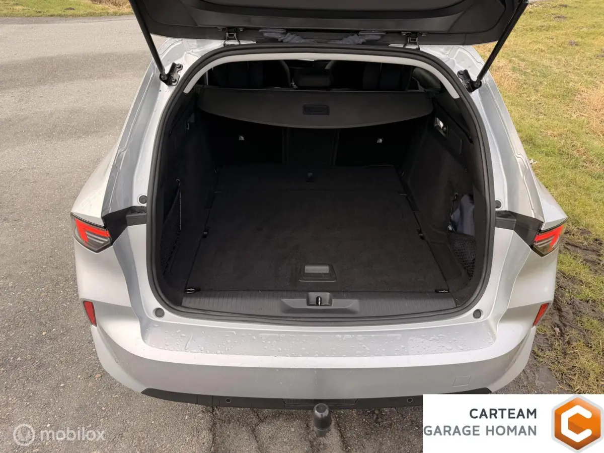 1.2 Turbo 130pk Business Edition trekhaak|Carplay/nav|Camera| Led