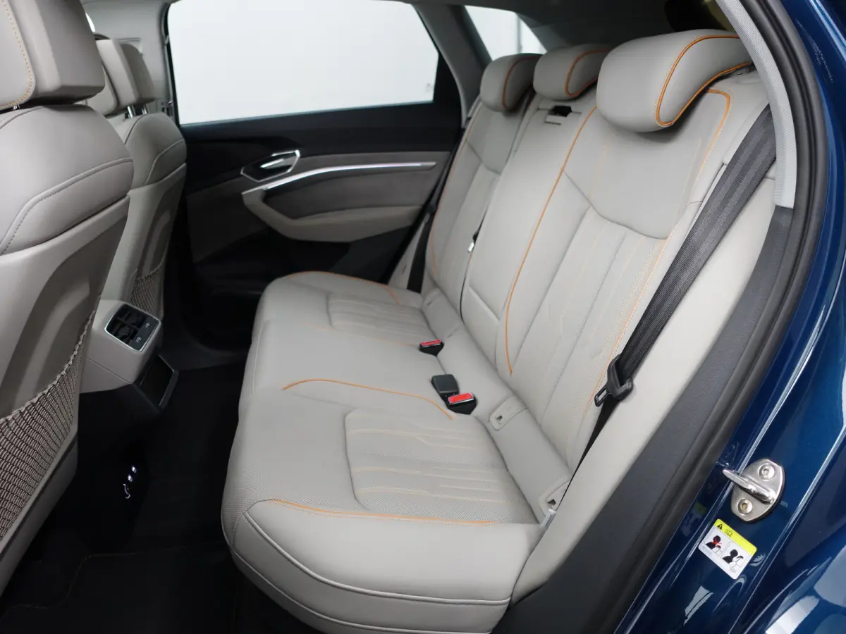 55 Quattro Advanced Pro Line Plus 95 kWh- SOH 93%, Exclusive Interieur, Stoelmassage, Camera Spiegels, Bang Olufsen, Head Up