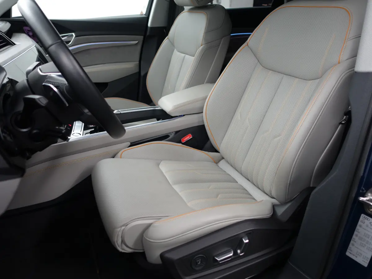 55 Quattro Advanced Pro Line Plus 95 kWh- SOH 93%, Exclusive Interieur, Stoelmassage, Camera Spiegels, Bang Olufsen, Head Up