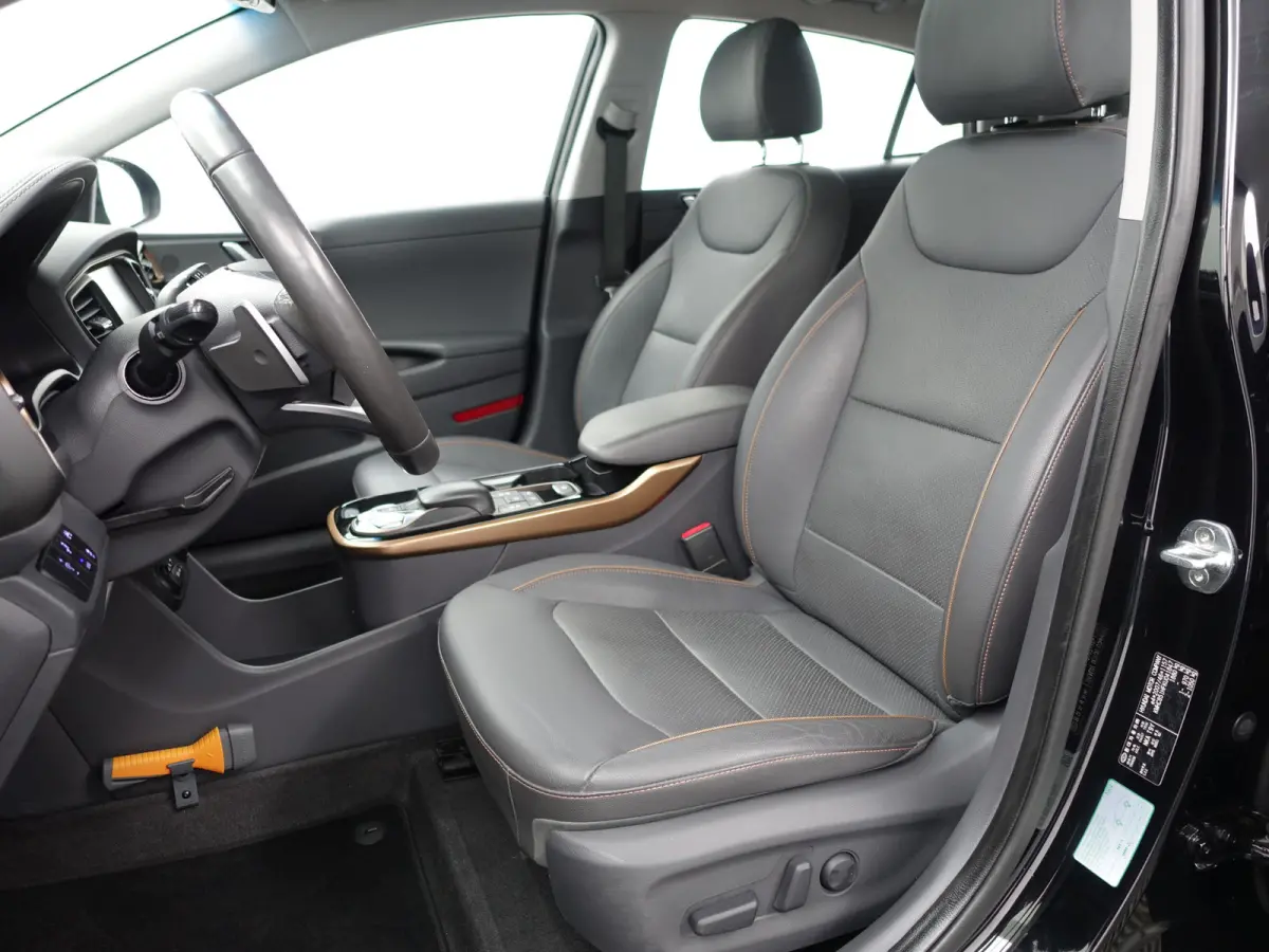 Premium+ EV Aut- SOH 99%, Schuifdak, Stoelventilatie, Stuur/Stoelverwarming, Infinity Audio, Lane Assist, Memory