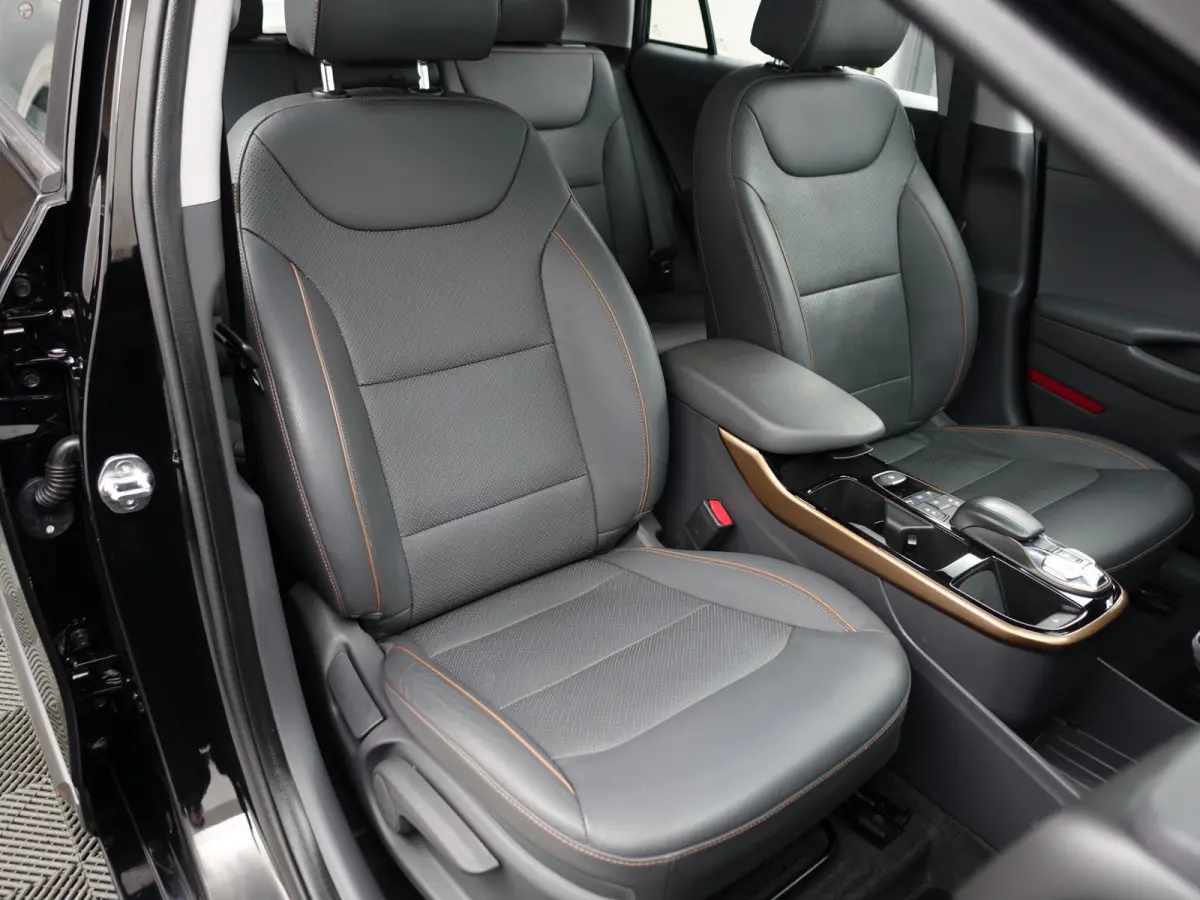 Premium+ EV Aut- SOH 99%, Schuifdak, Stoelventilatie, Stuur/Stoelverwarming, Infinity Audio, Lane Assist, Memory