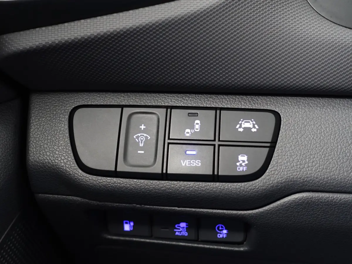 Premium+ EV Aut- SOH 99%, Schuifdak, Stoelventilatie, Stuur/Stoelverwarming, Infinity Audio, Lane Assist, Memory