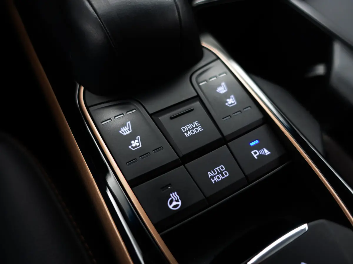 Premium+ EV Aut- SOH 99%, Schuifdak, Stoelventilatie, Stuur/Stoelverwarming, Infinity Audio, Lane Assist, Memory