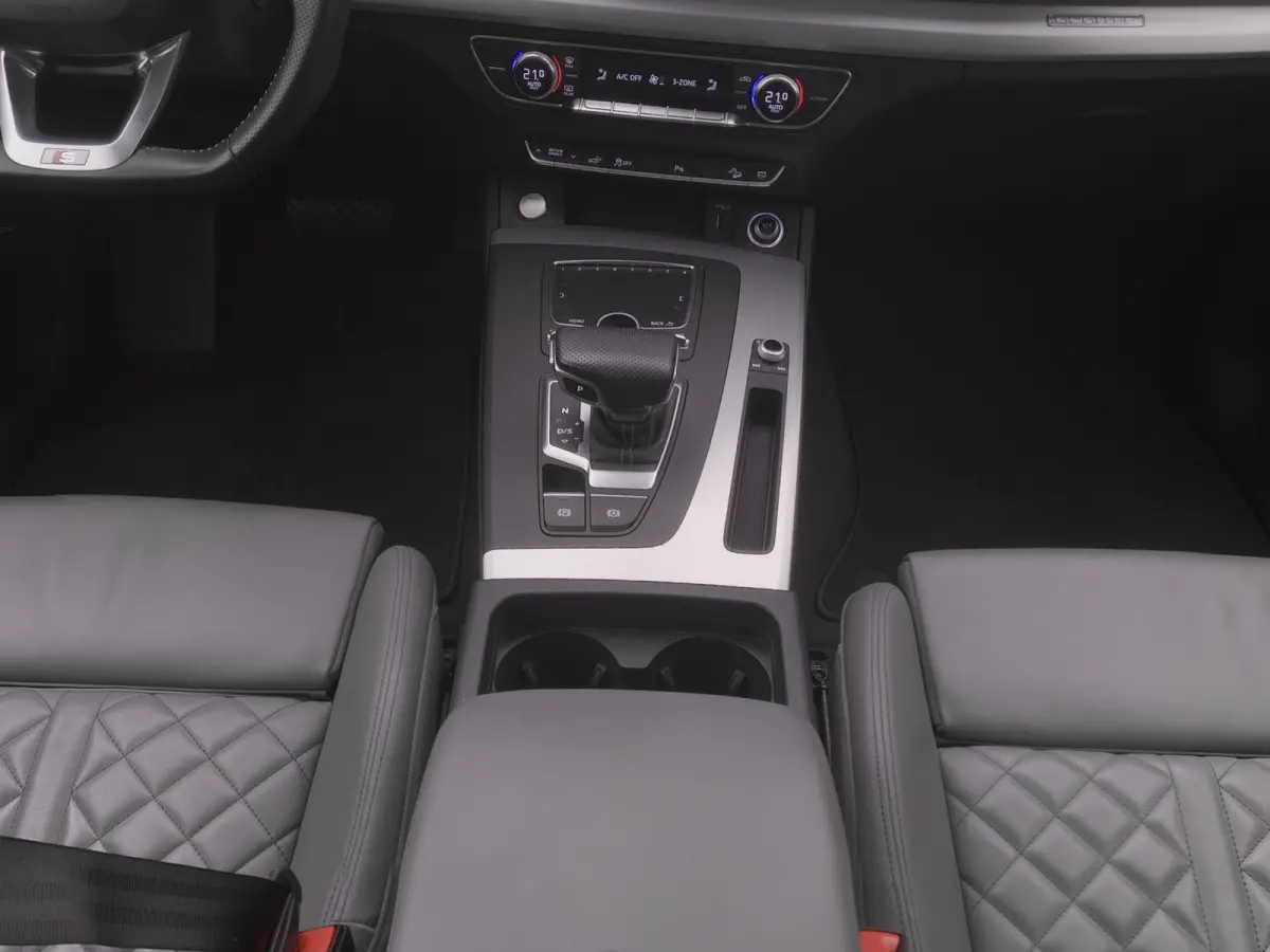 55 TFSI e S edition | PANO | LUCHTVERING | MEMORY | LEDER