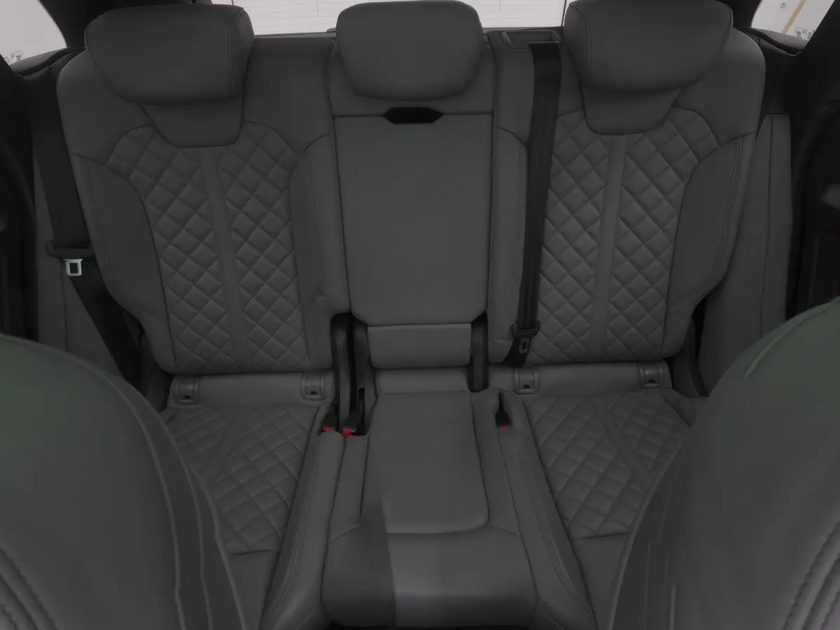 55 TFSI e S edition | PANO | LUCHTVERING | MEMORY | LEDER