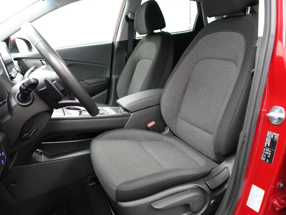 EV Comfort 39 kWh Aut- Stuur/Stoelverwarming, CarPlay, Led, Lane assist, Dynamic Select, Park assist