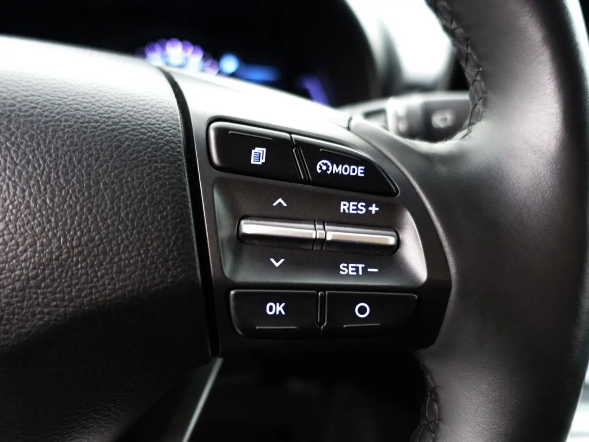 EV Comfort 39 kWh Aut- Stuur/Stoelverwarming, CarPlay, Led, Lane assist, Dynamic Select, Park assist
