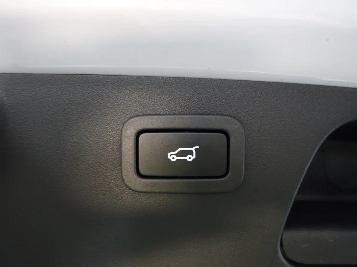 2.0 P250 AWD R-Dynamic HSE- Carplay, Android Auto, Panoramadak, Head Up, Memory, Meridian Surround