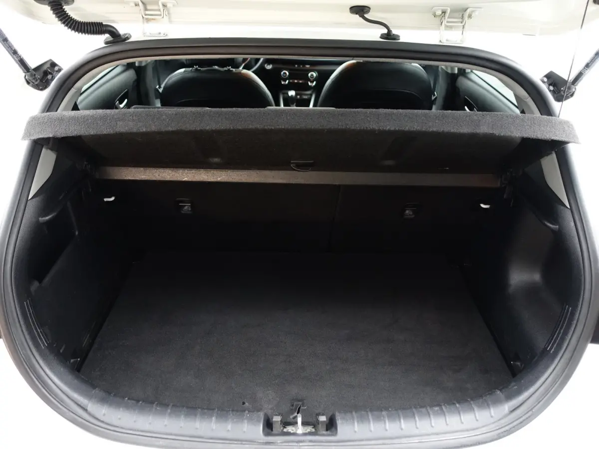 1.0 TGDI GT-Line Blackpack- Stuur/Stoelverwarming, Lane Assist, Led, Camera, Carbon, Park Assist, Privacy Glass