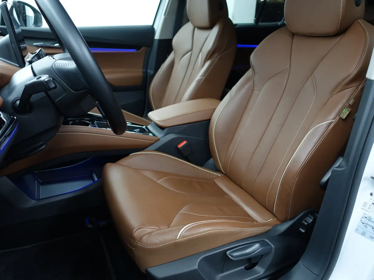 60+ Sportline- Warmtepomp, Design Leder Interieur, Sfeerverlichting, Standkachel, Xenon Led